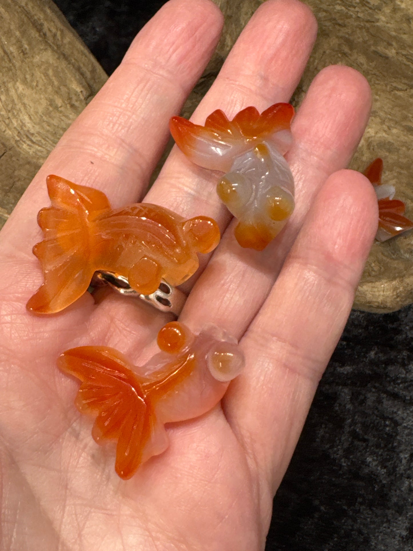 Carnelian Goldfish