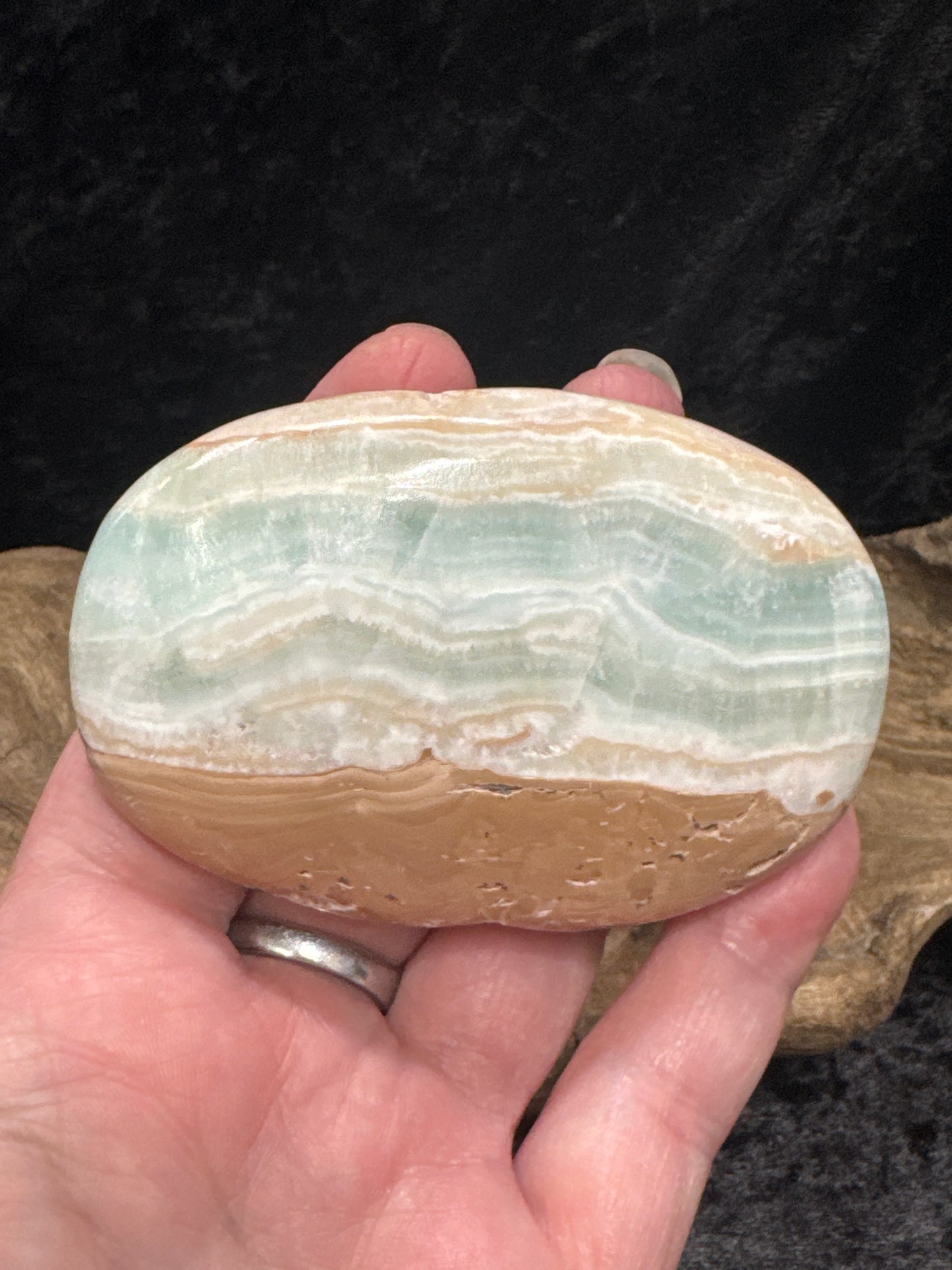 Caribbean Calcite Palm Stone - Pakistan