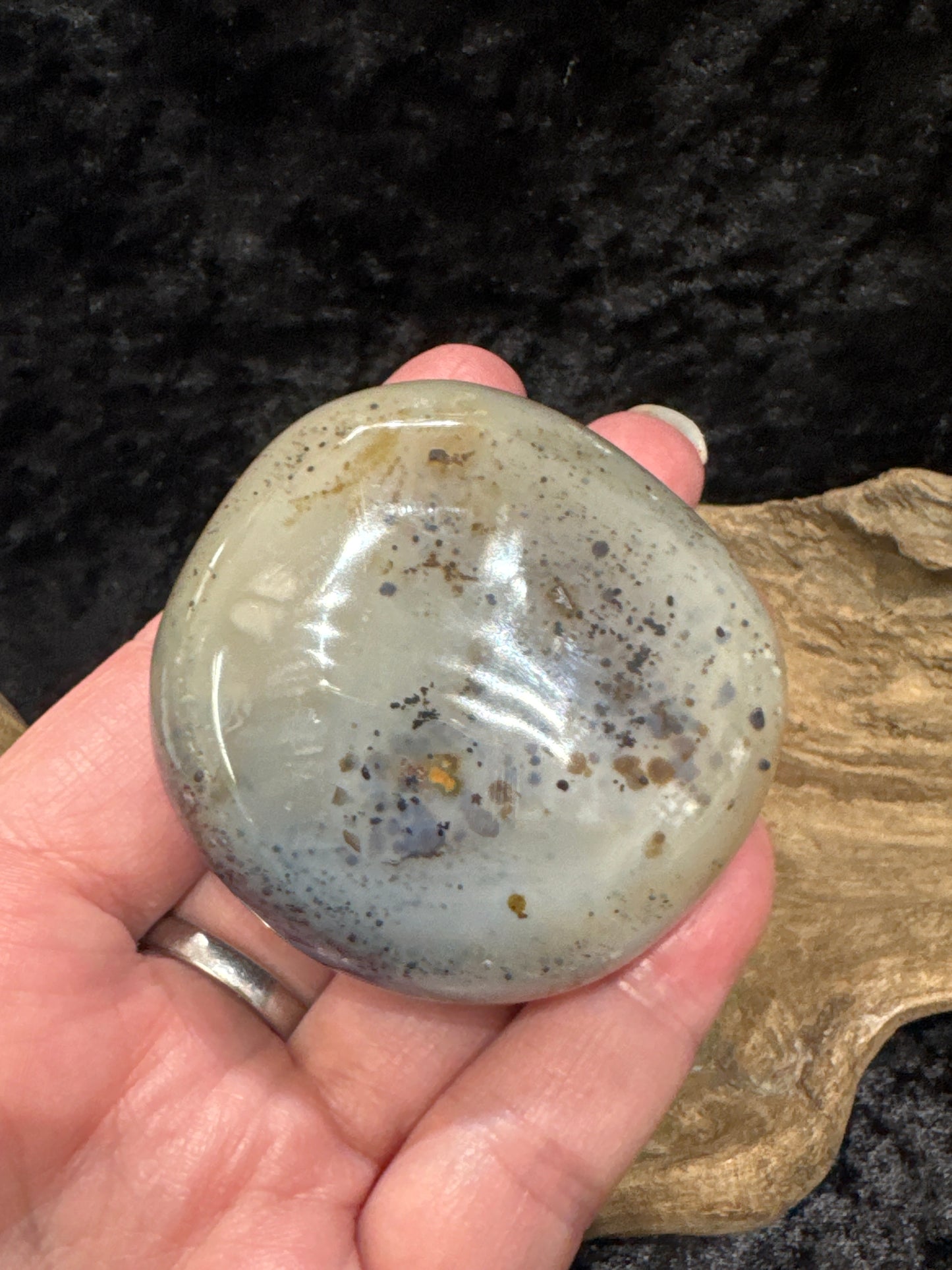 Dendritic Agate palm stone