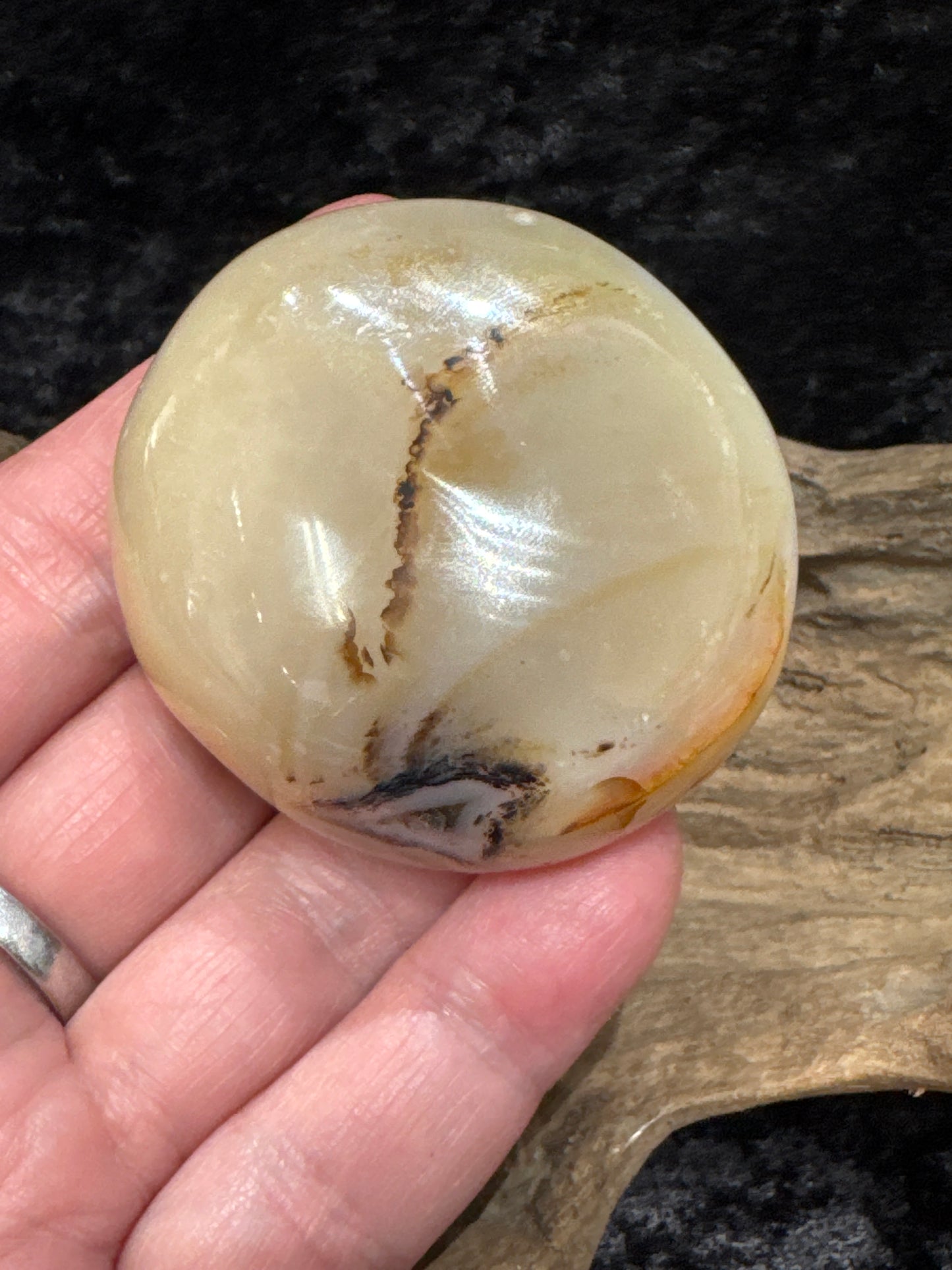 Dendritic Agate palm stone