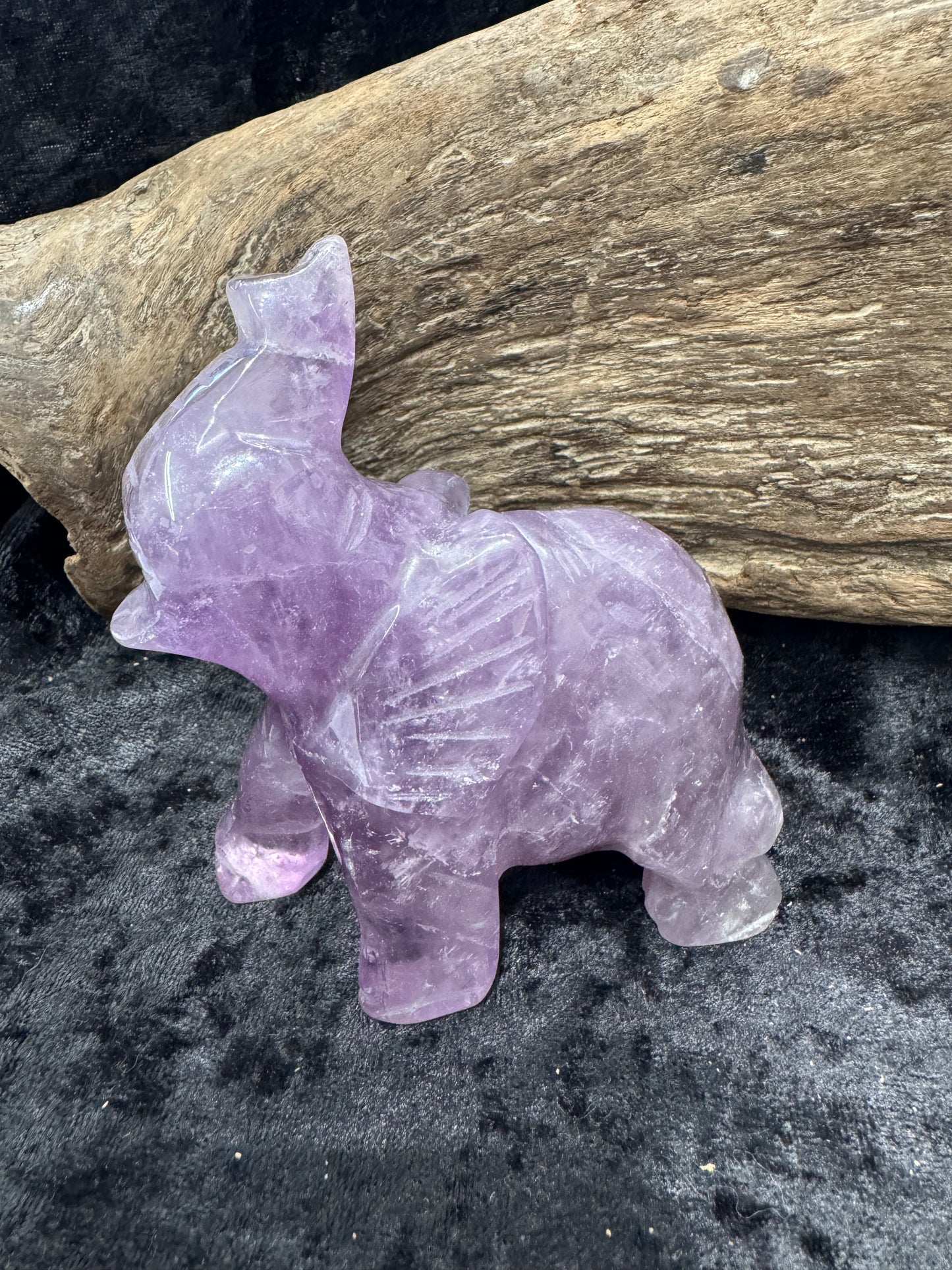 Elephants