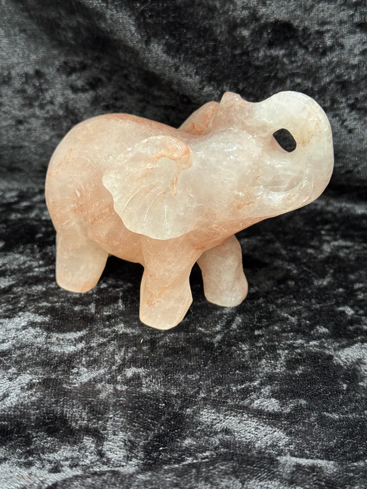 Elephants