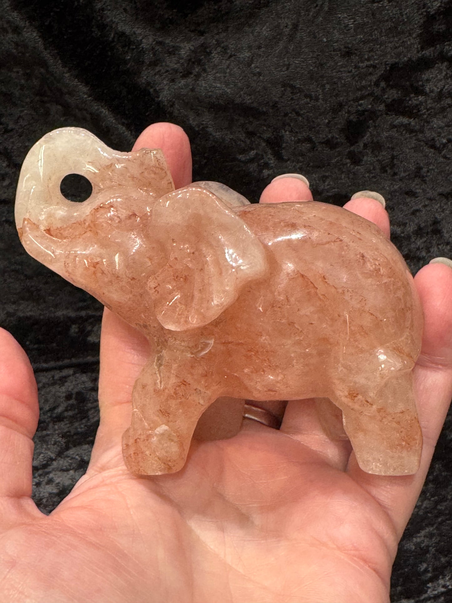 Elephants