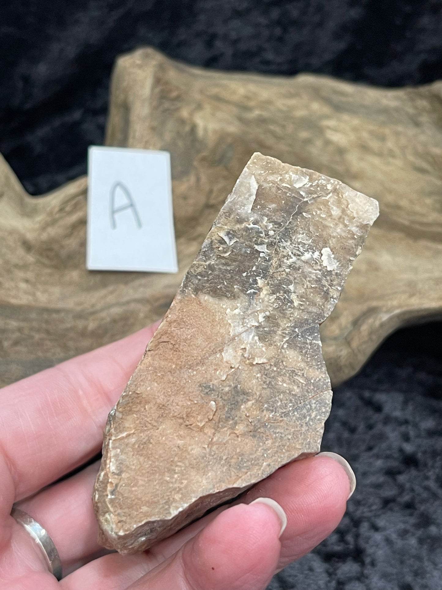 Petrified wood raw rough