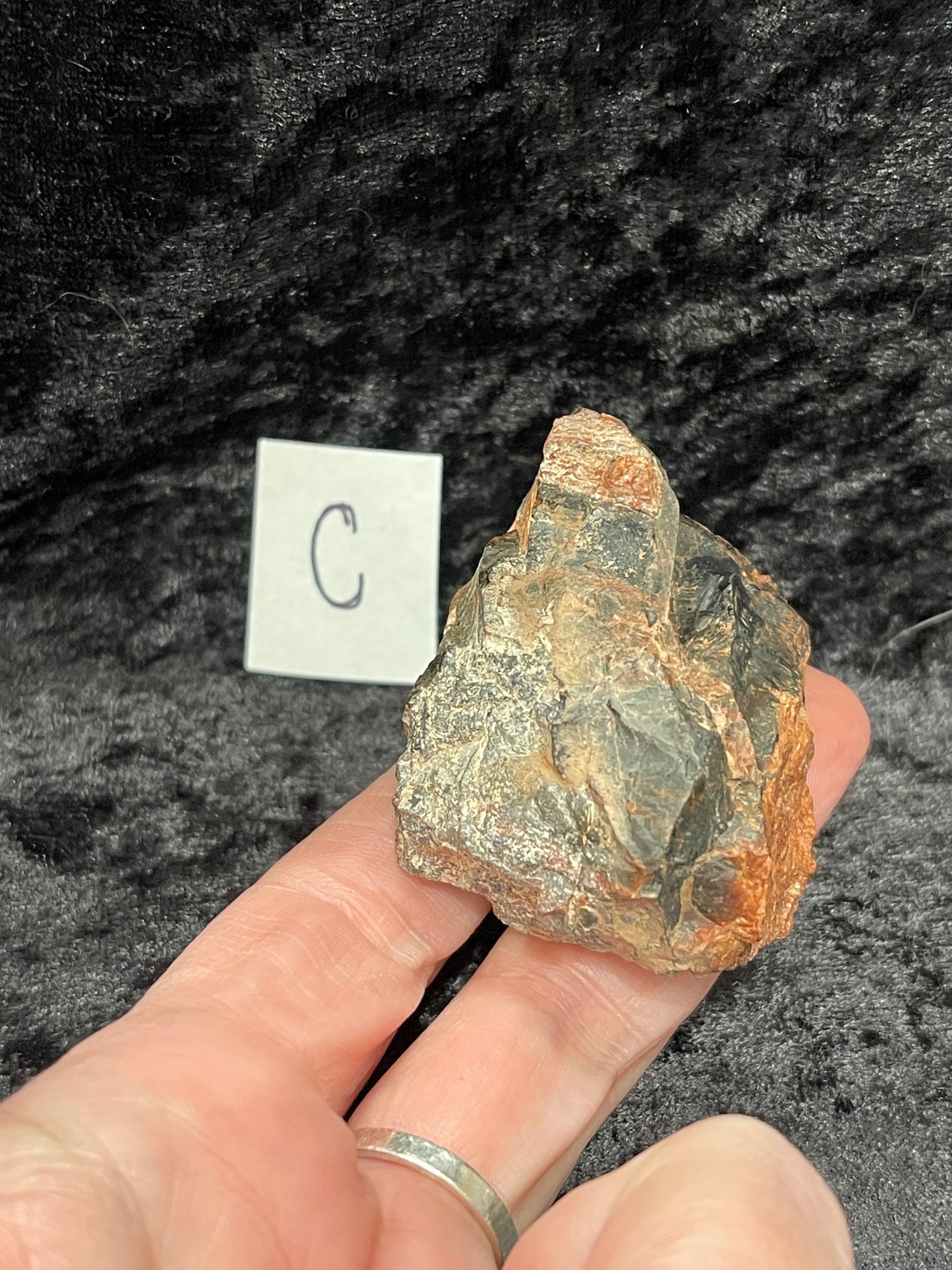 Petrified wood raw rough