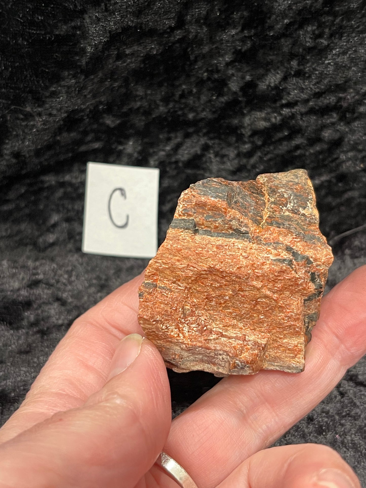 Petrified wood raw rough