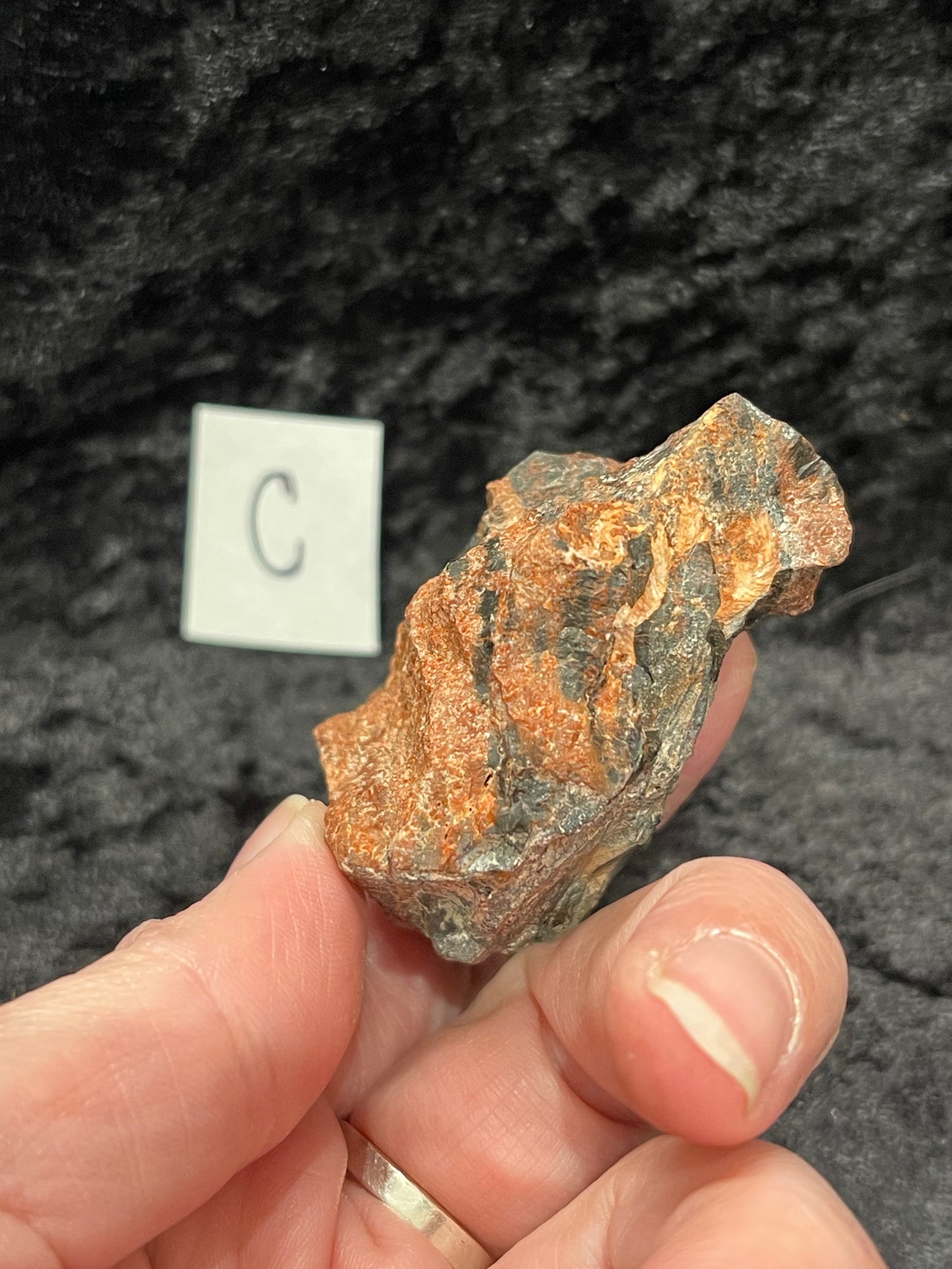 Petrified wood raw rough