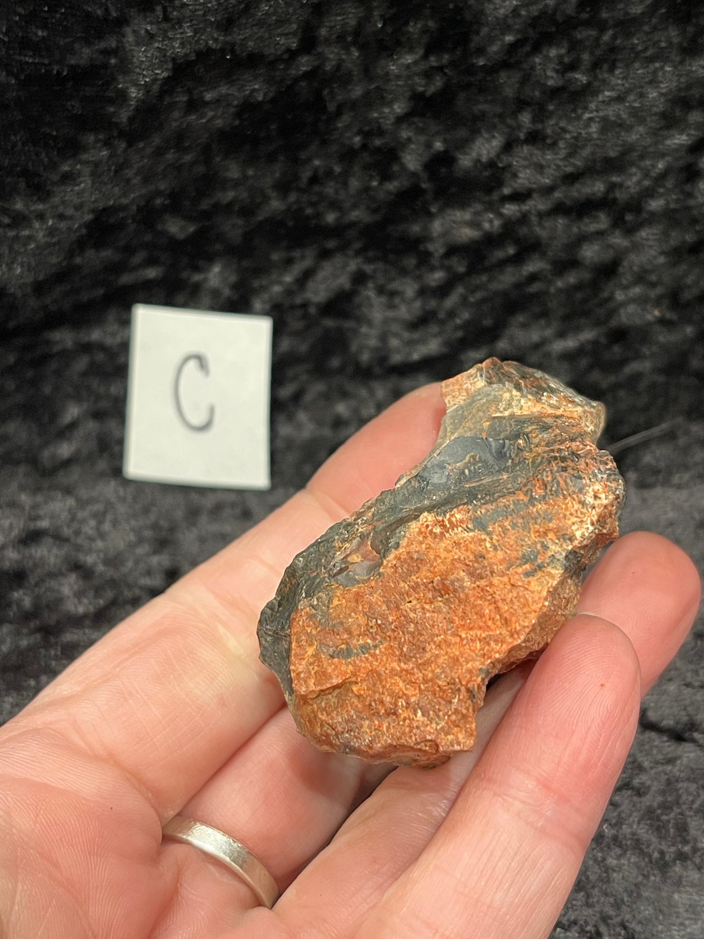 Petrified wood raw rough
