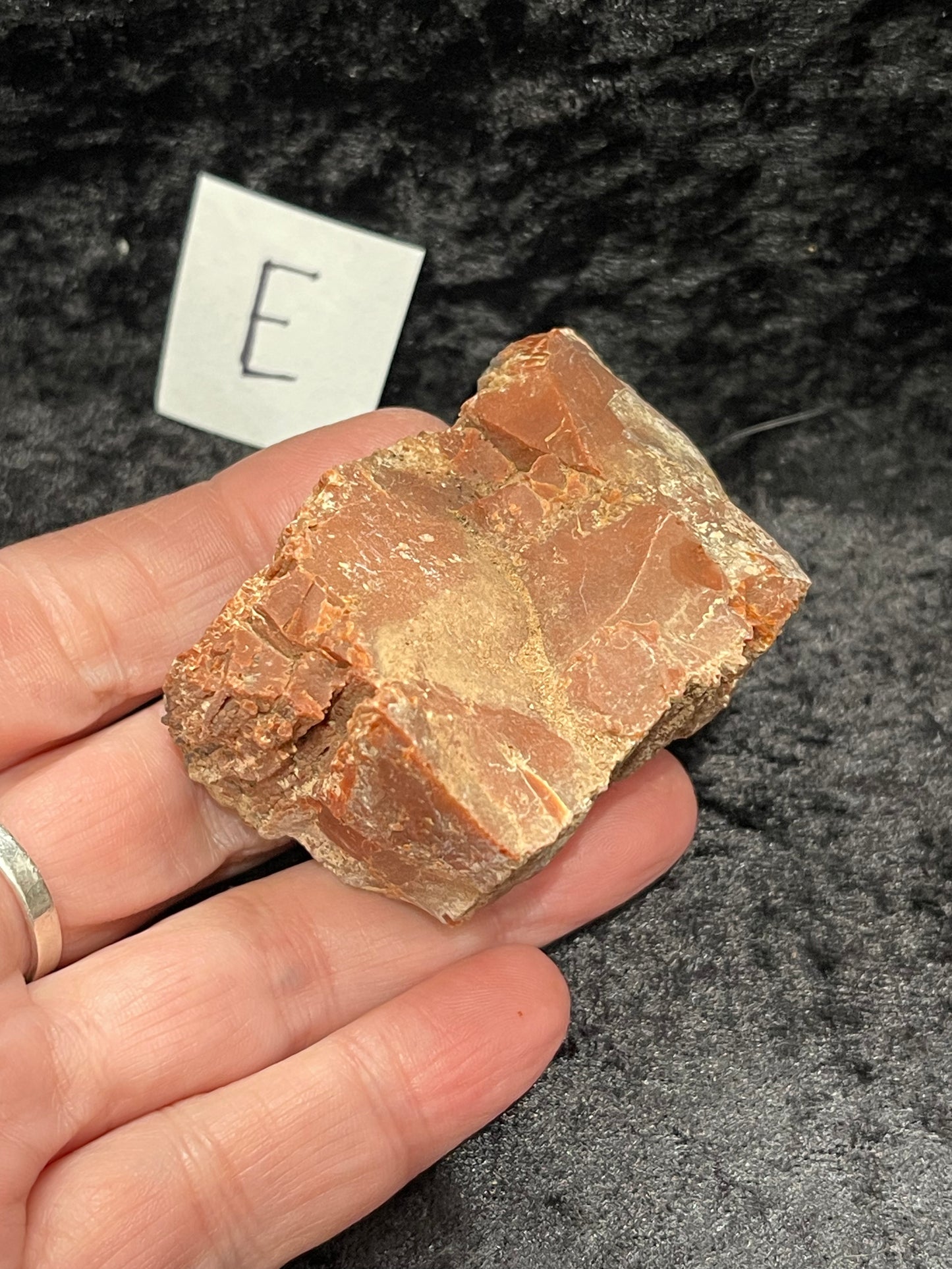 Petrified wood raw rough