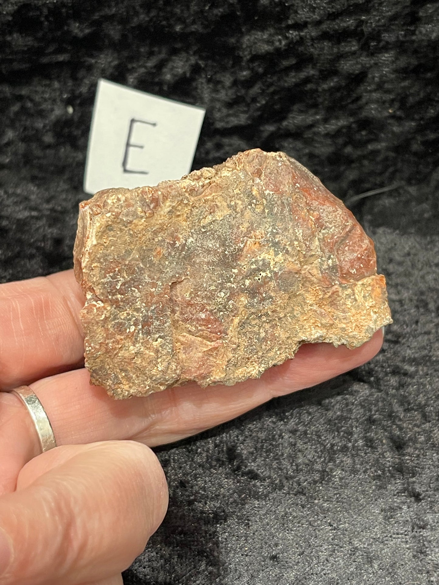 Petrified wood raw rough