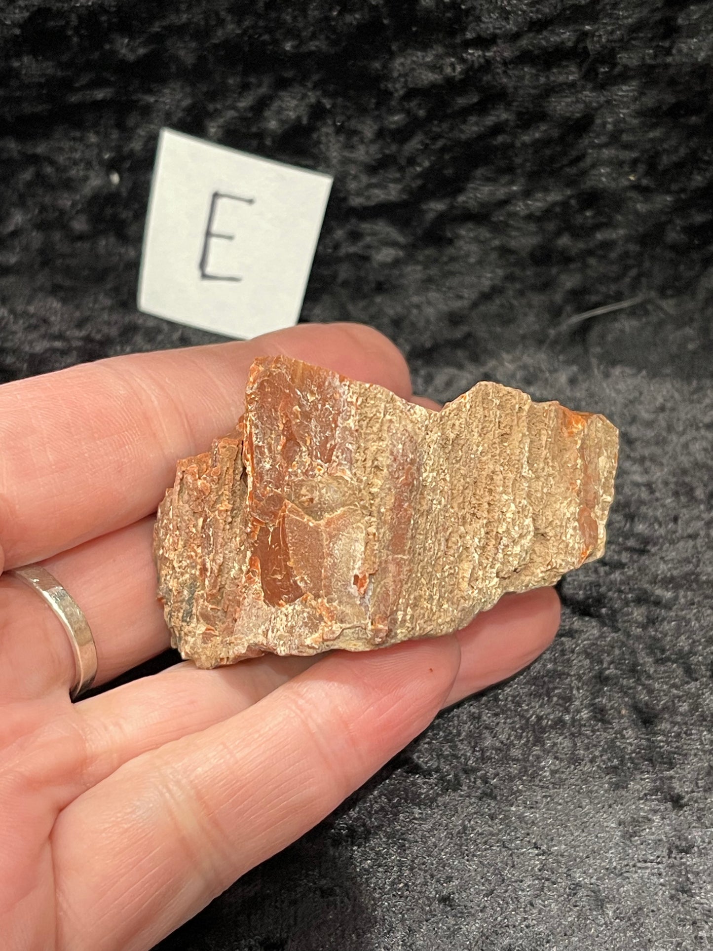 Petrified wood raw rough