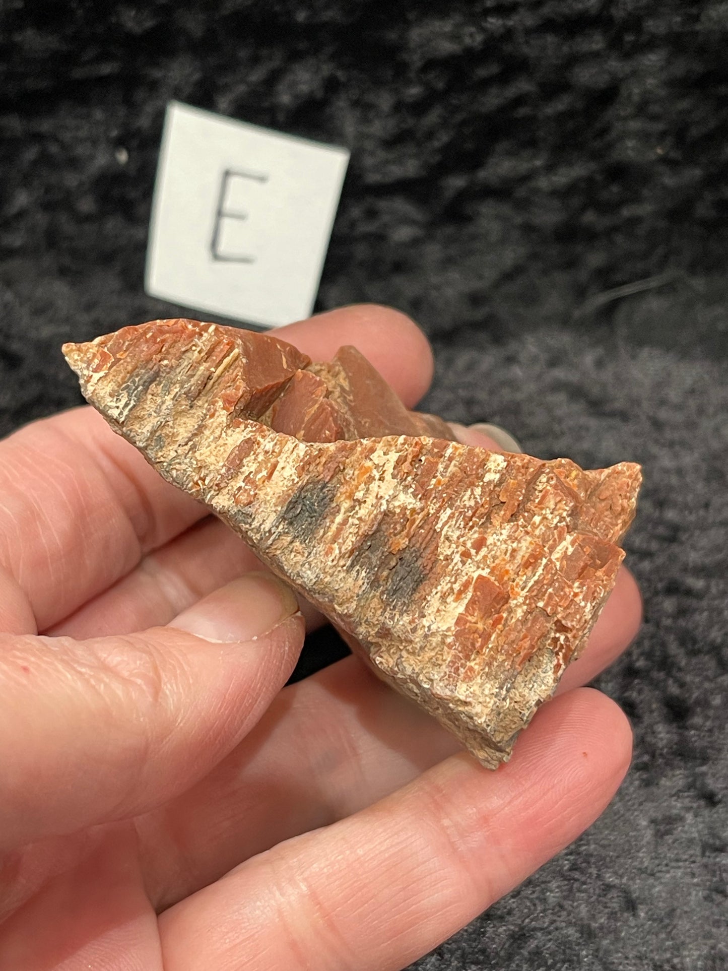 Petrified wood raw rough
