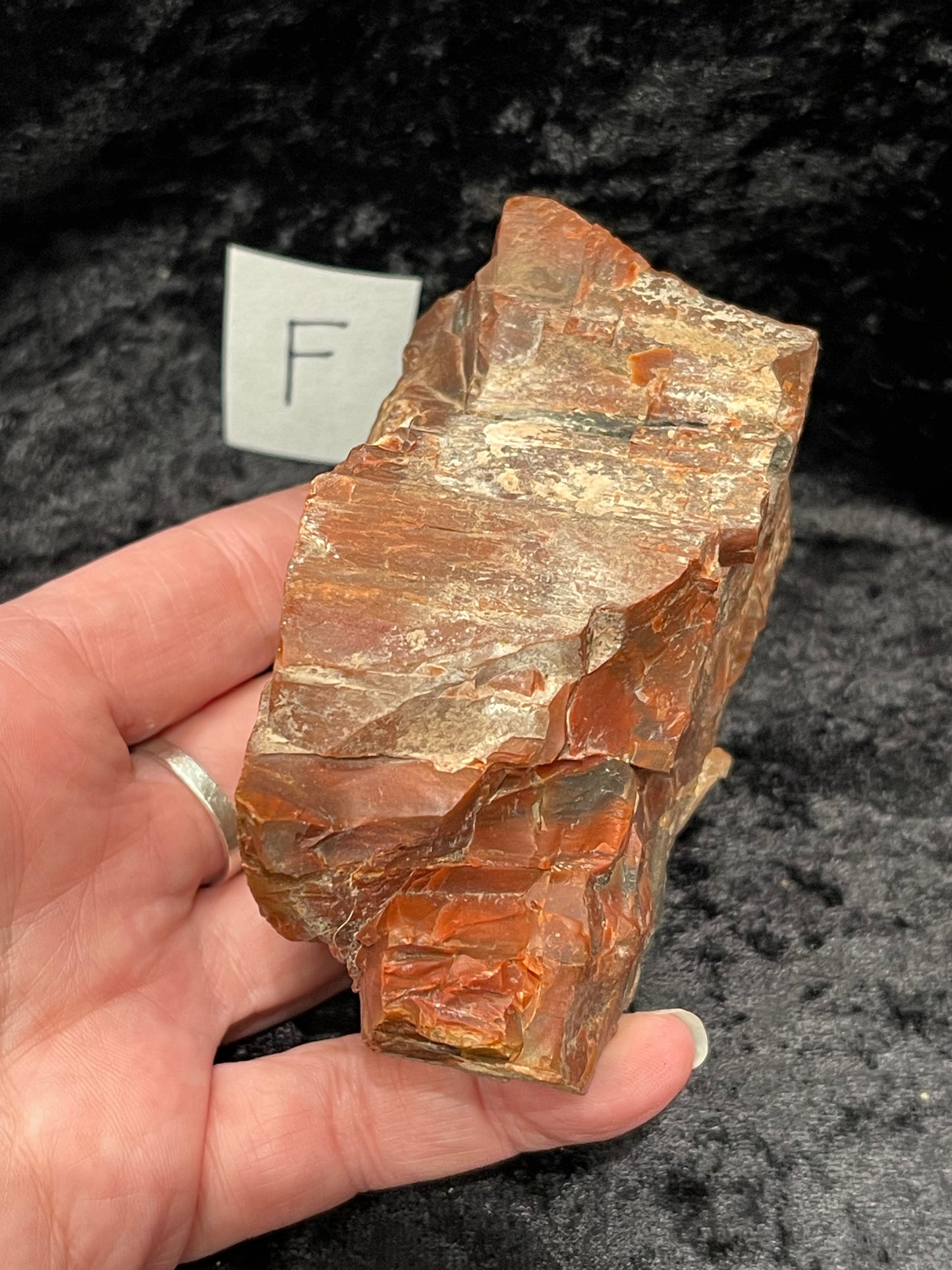 Petrified wood raw rough
