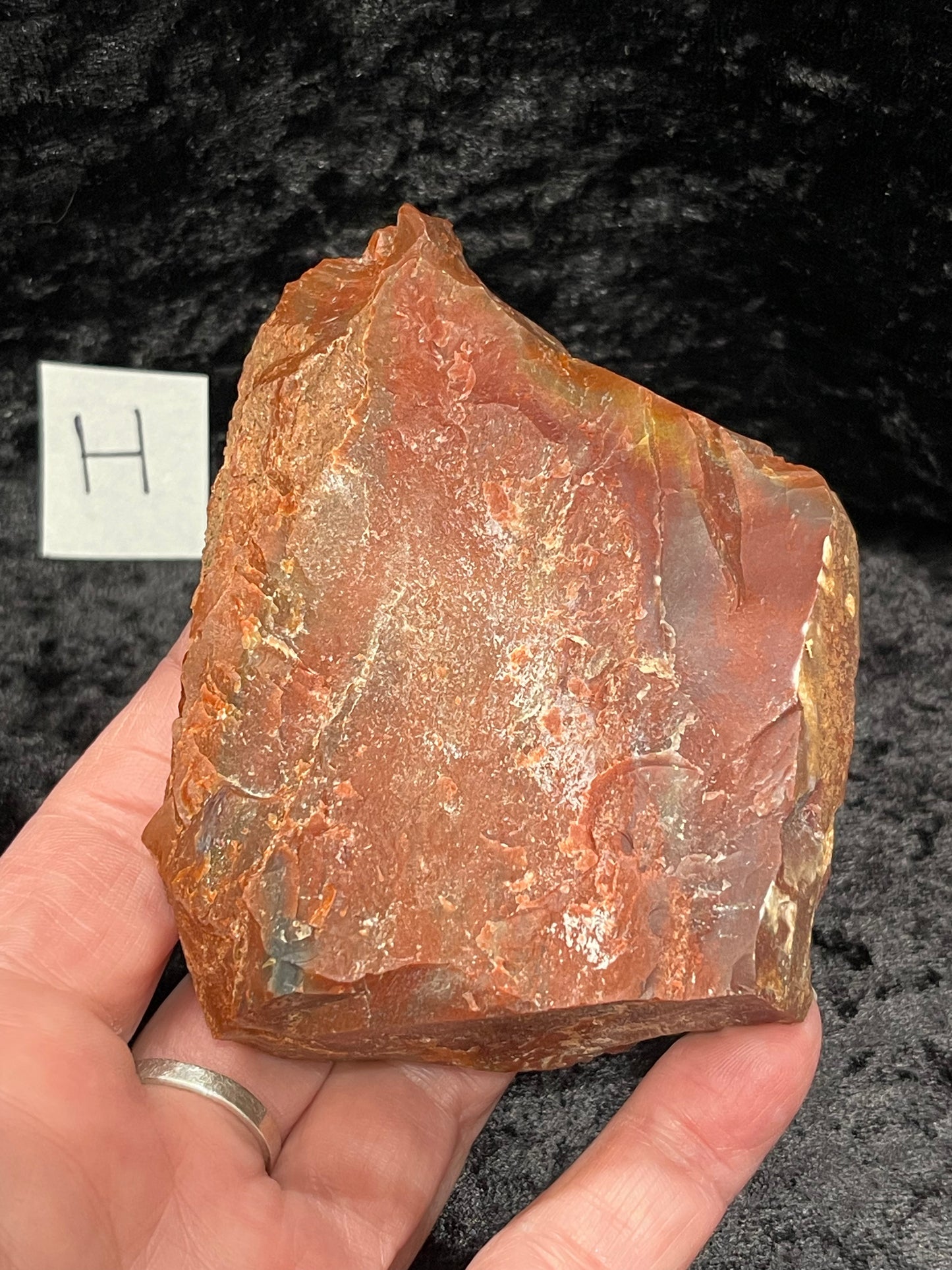 Petrified wood raw rough