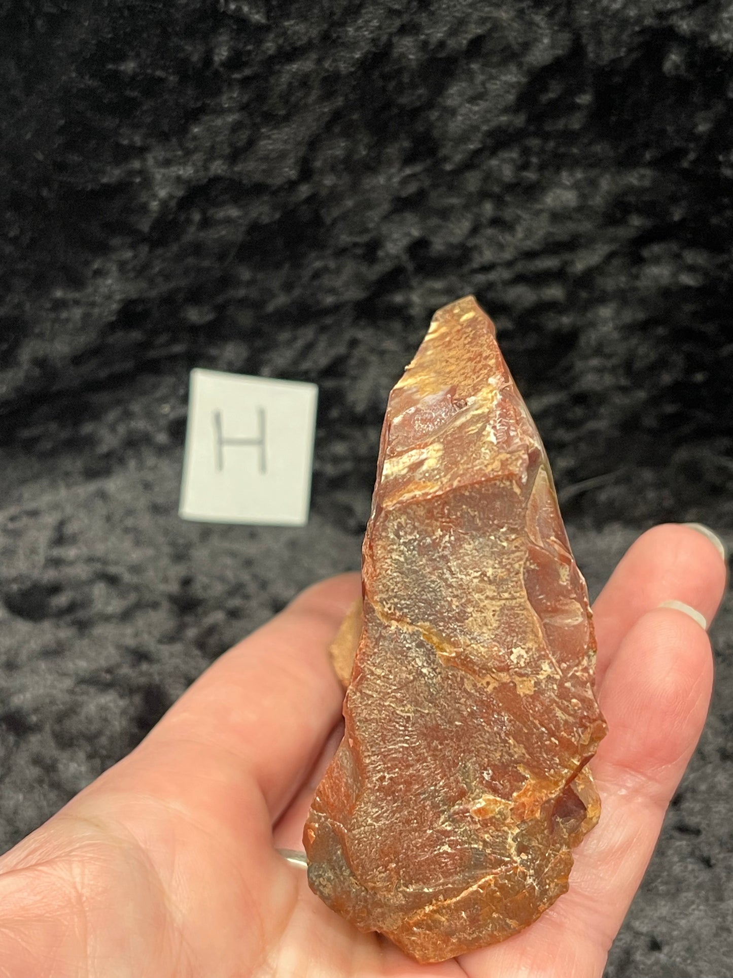 Petrified wood raw rough