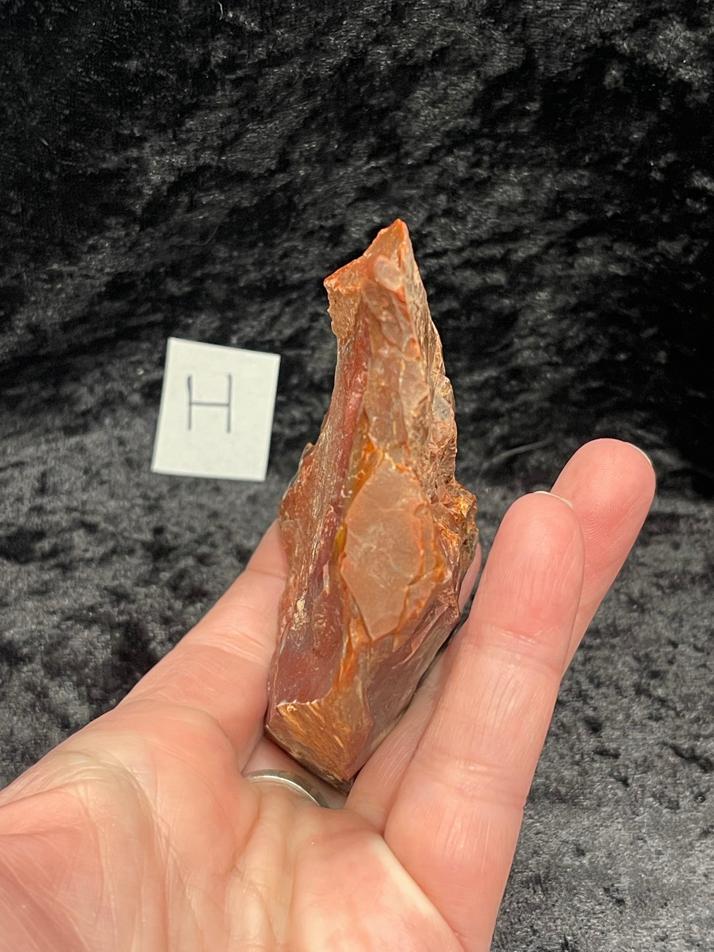 Petrified wood raw rough