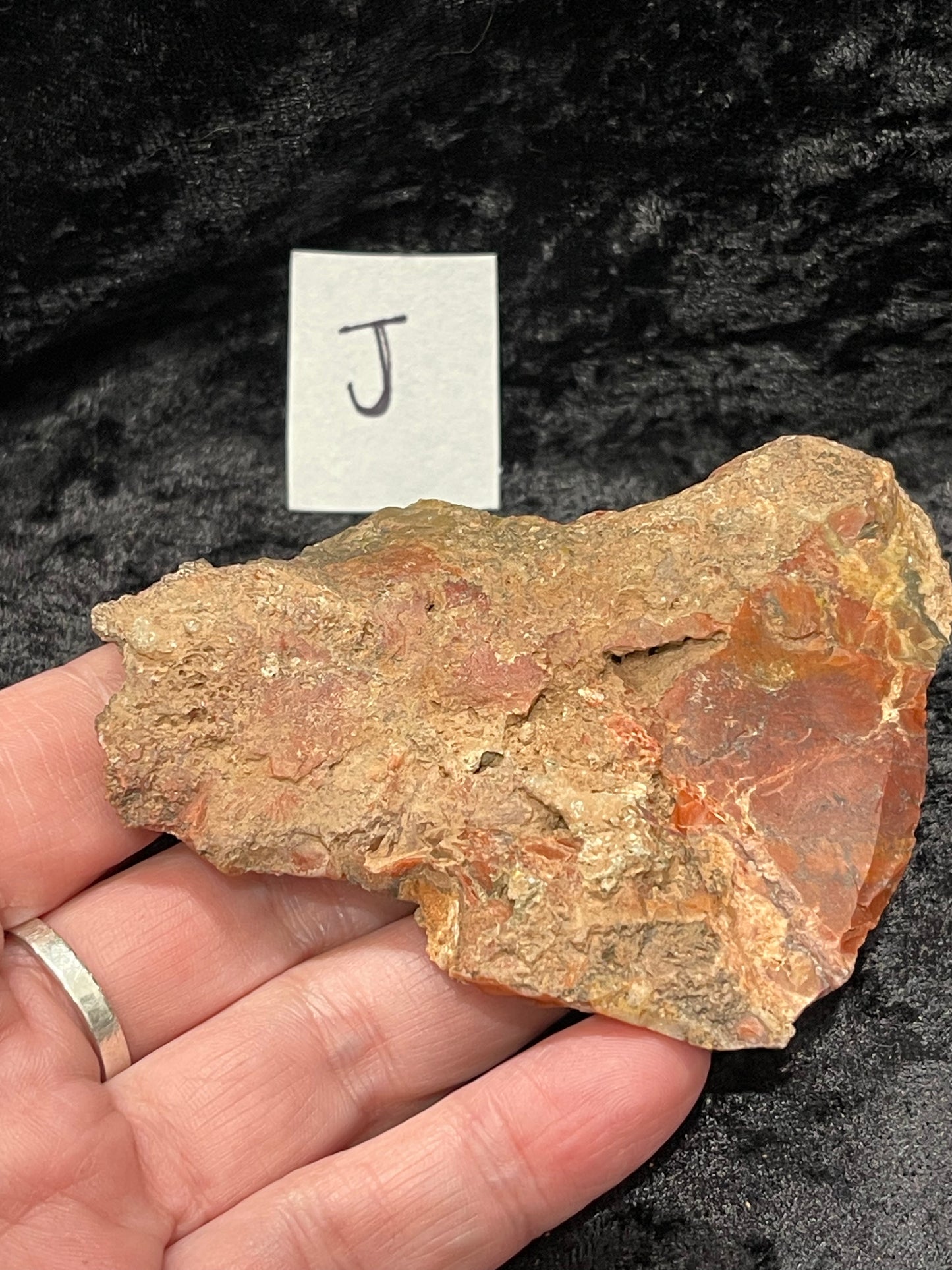 Petrified wood raw rough
