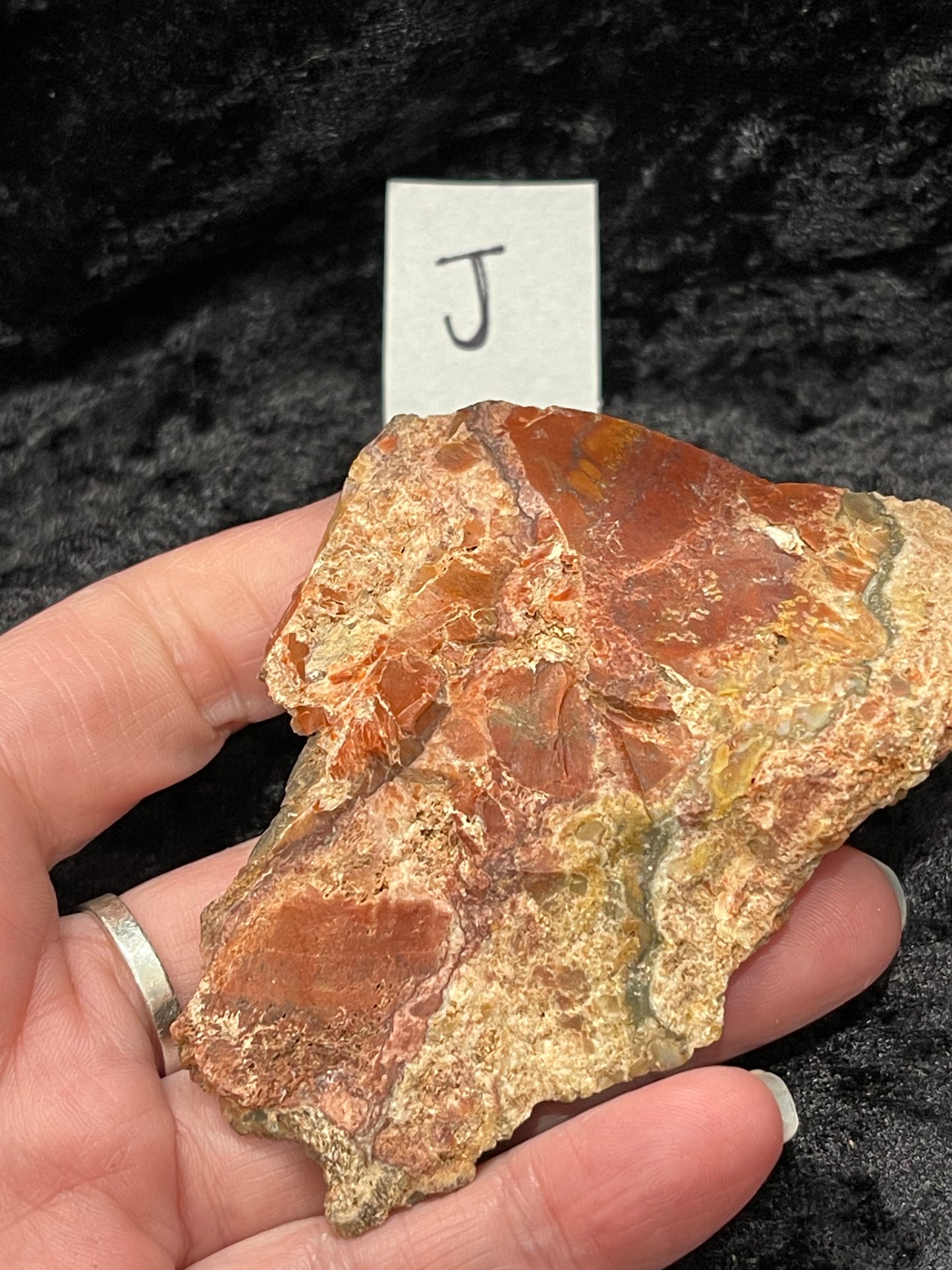 Petrified wood raw rough