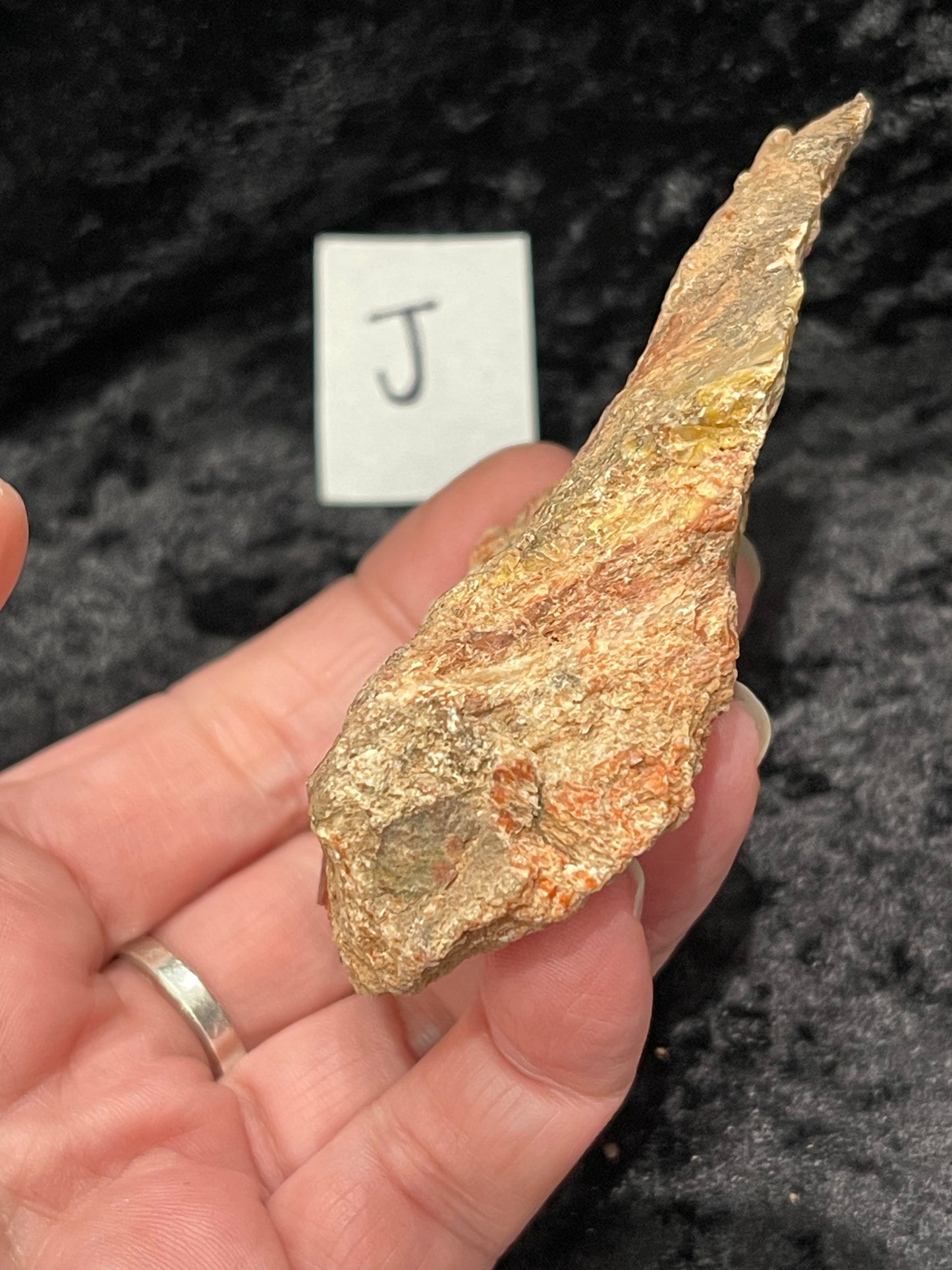 Petrified wood raw rough