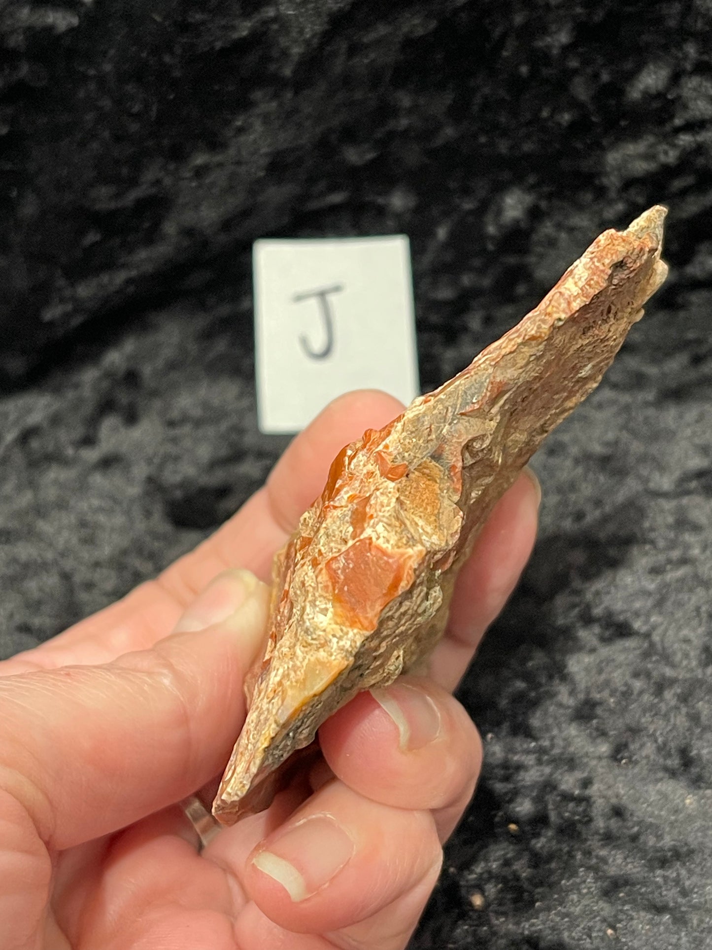 Petrified wood raw rough
