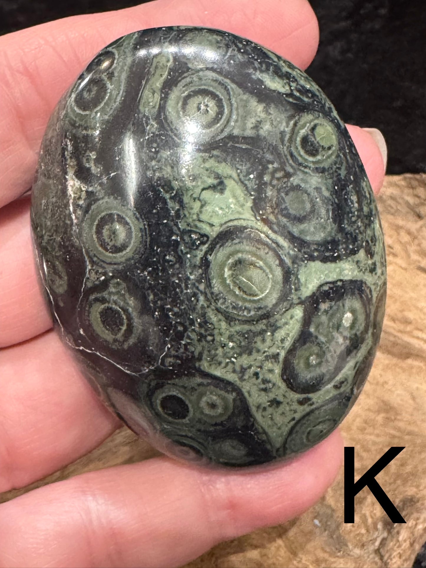 Kambaba Jasper (Stromatolite) Palm Stone