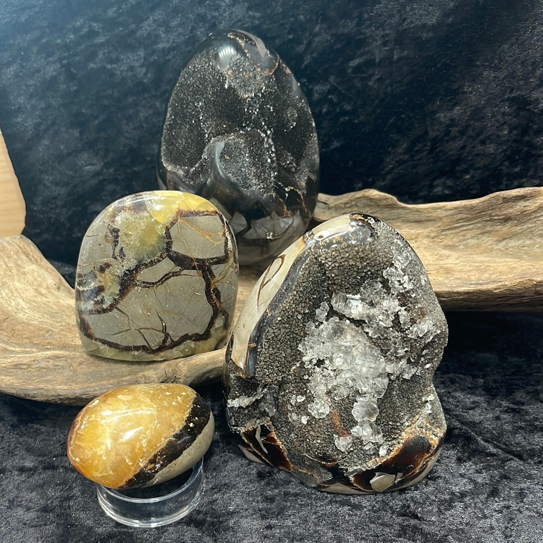 Septarian shapes