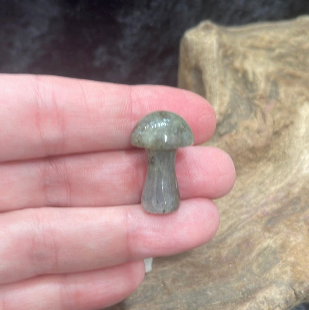 Mushrooms