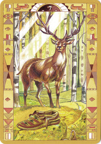 Native American Oracle Cards