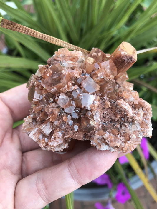 Aragonite