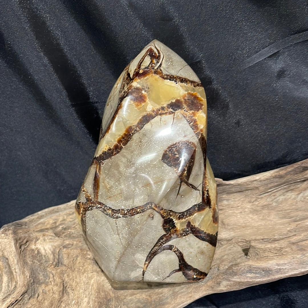Septarian shapes