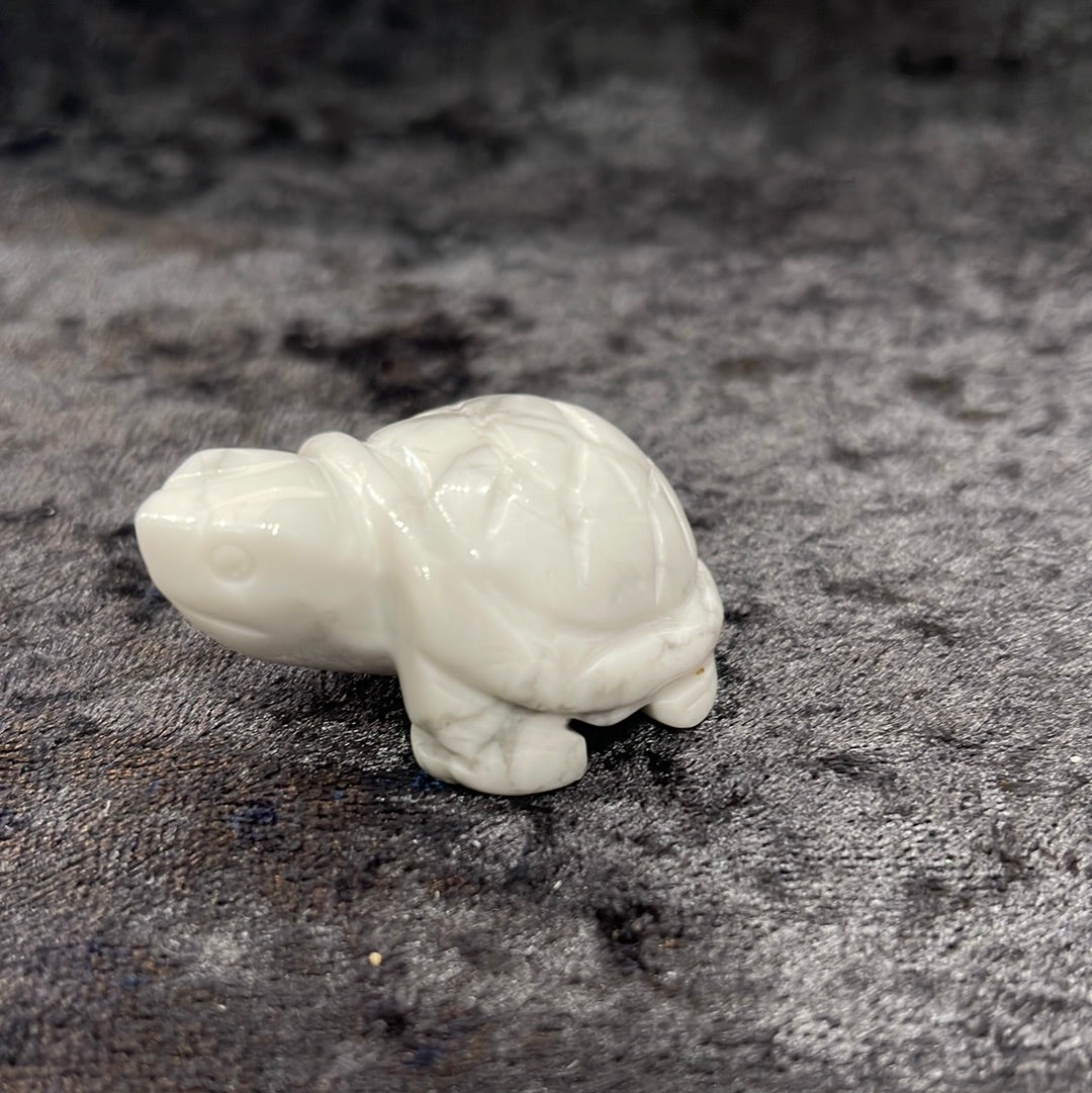 Turtles