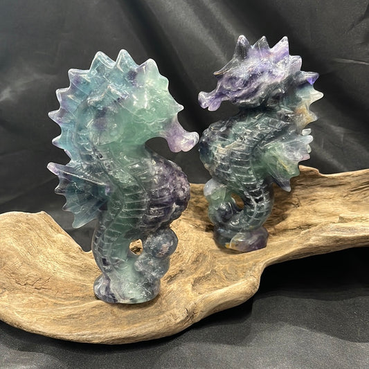 Fluorite seahorse