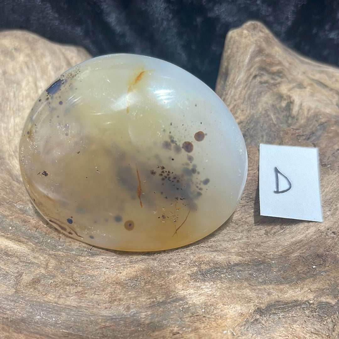 Dendritic Agate palm stone
