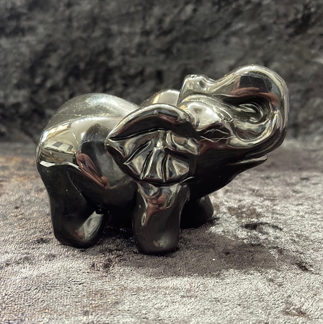 Elephants