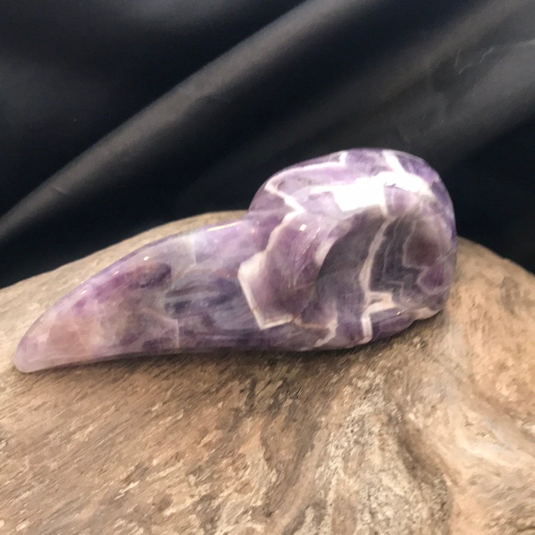Raven skull