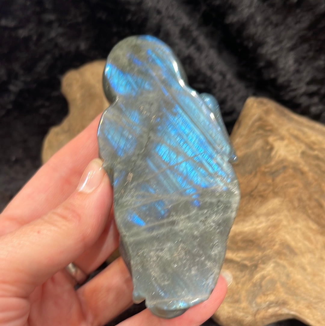 Labradorite octopus