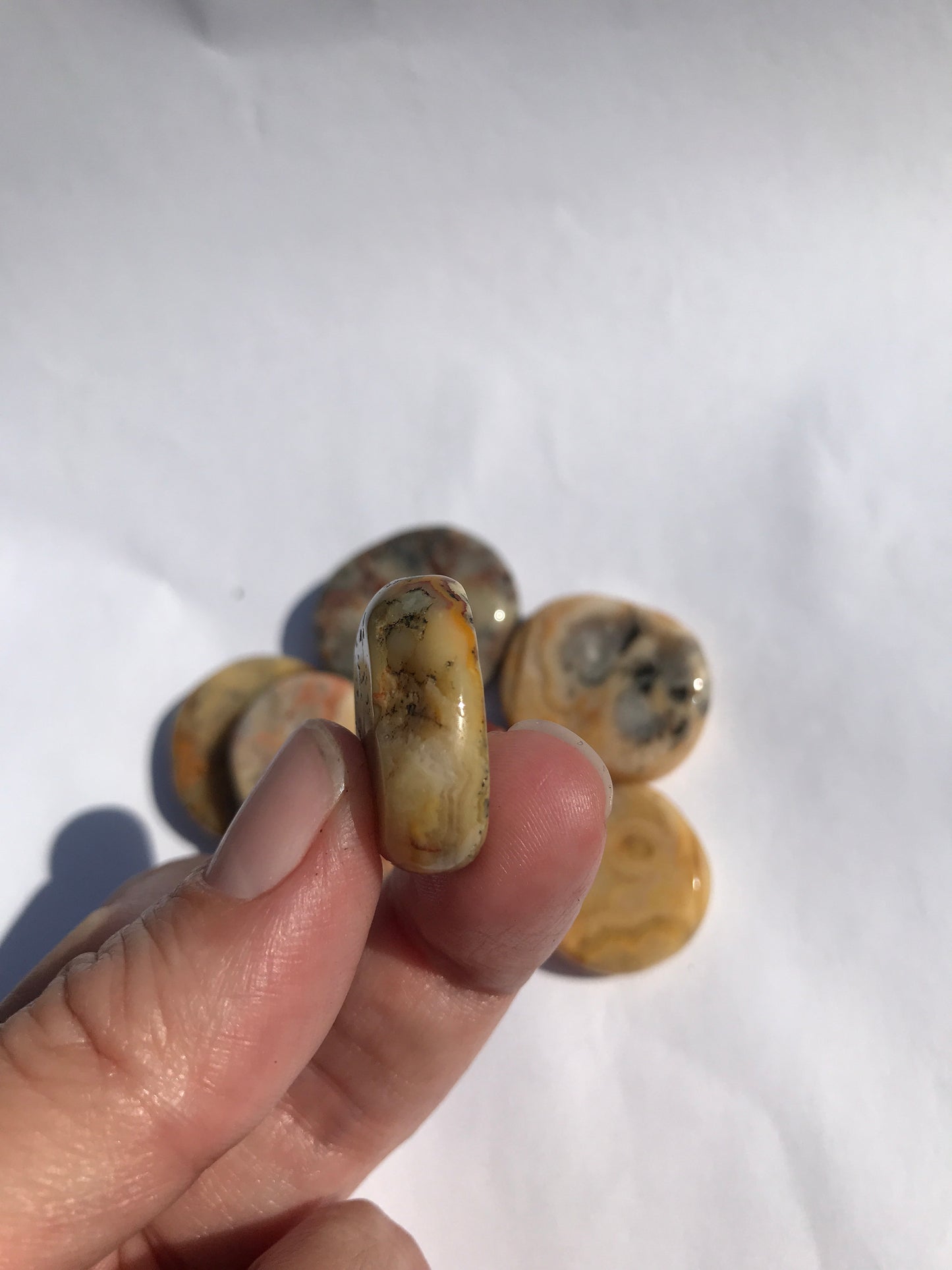 Crazy Lace Agate disk small