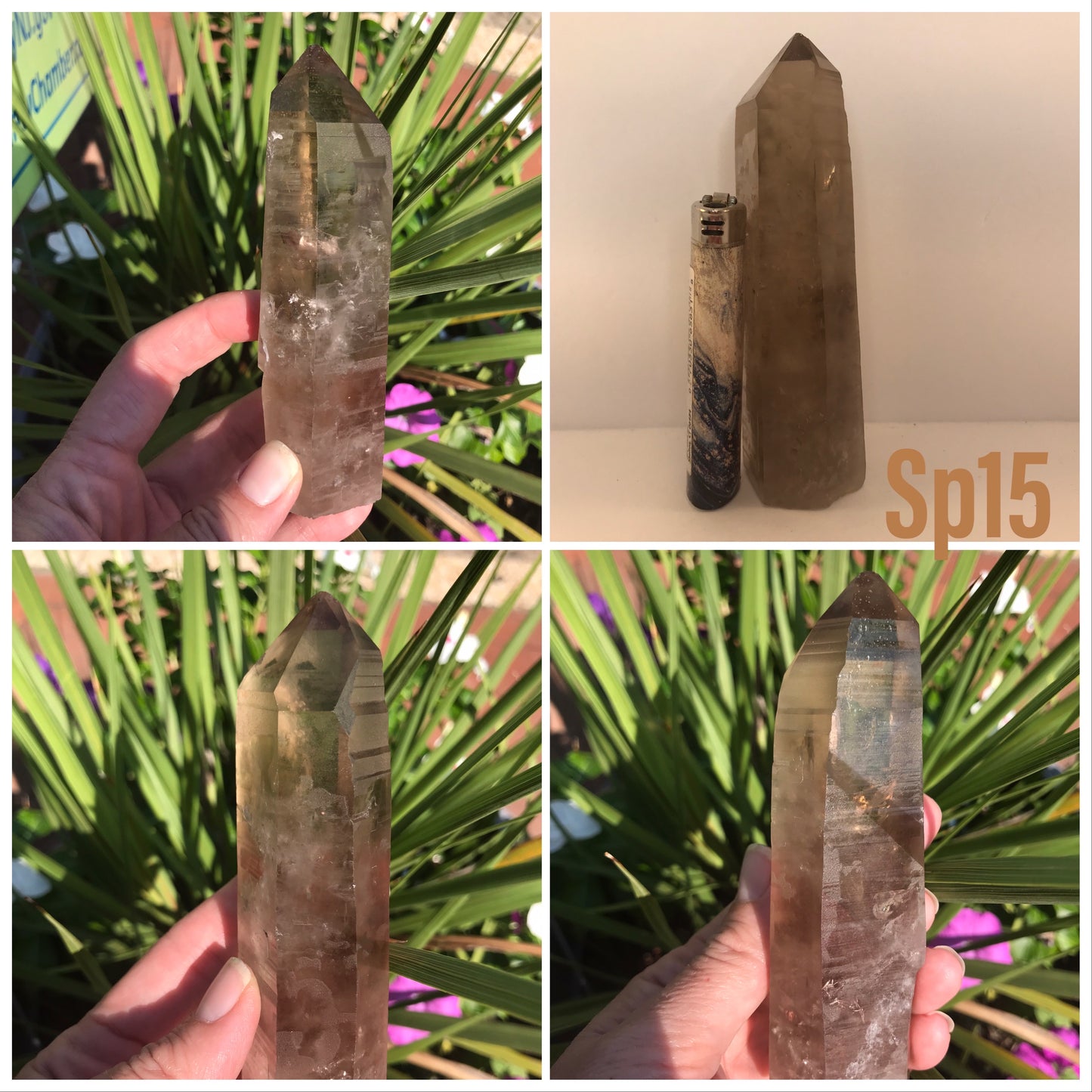 Smoky Quartz points