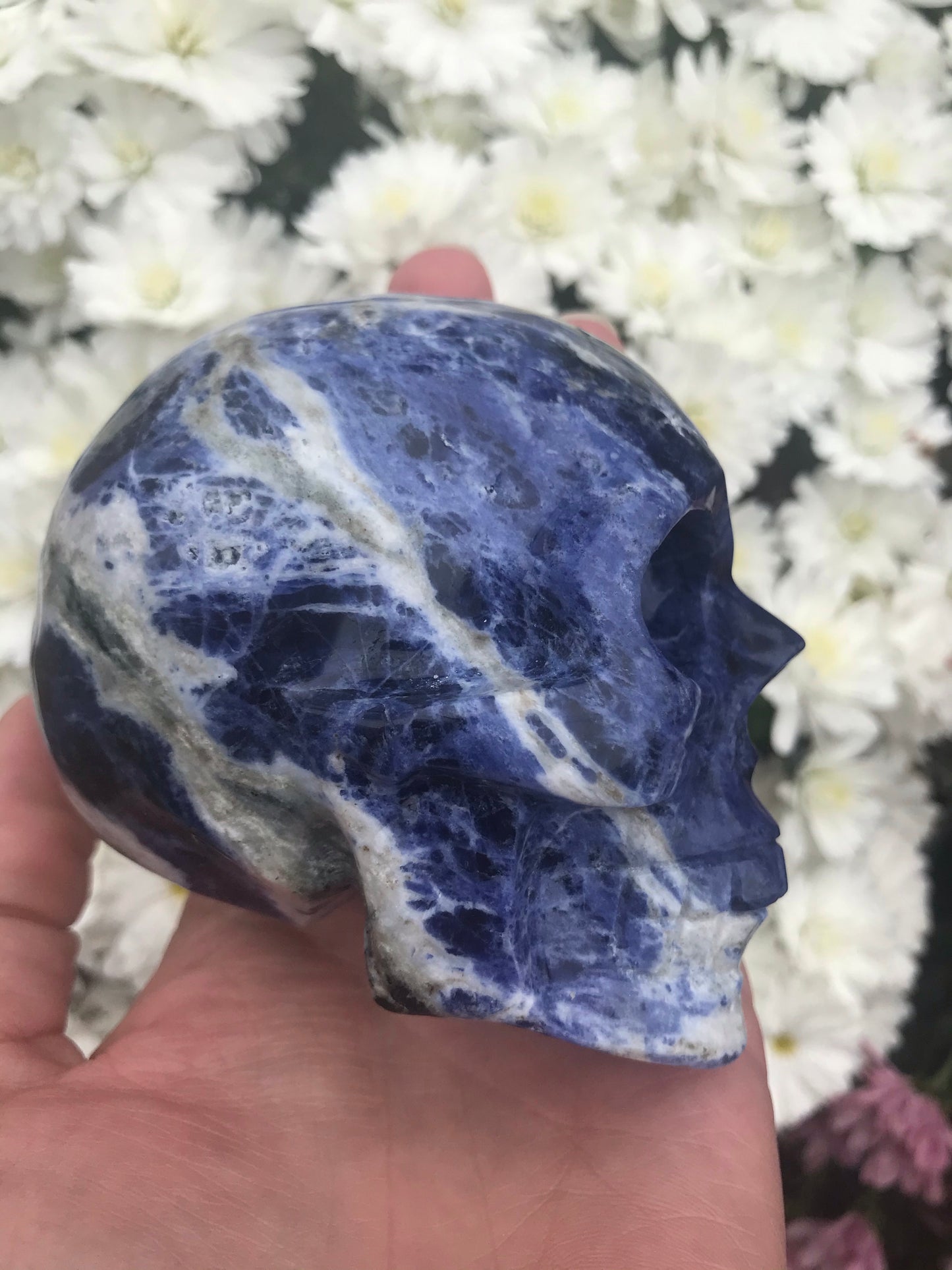 Sodalite skull