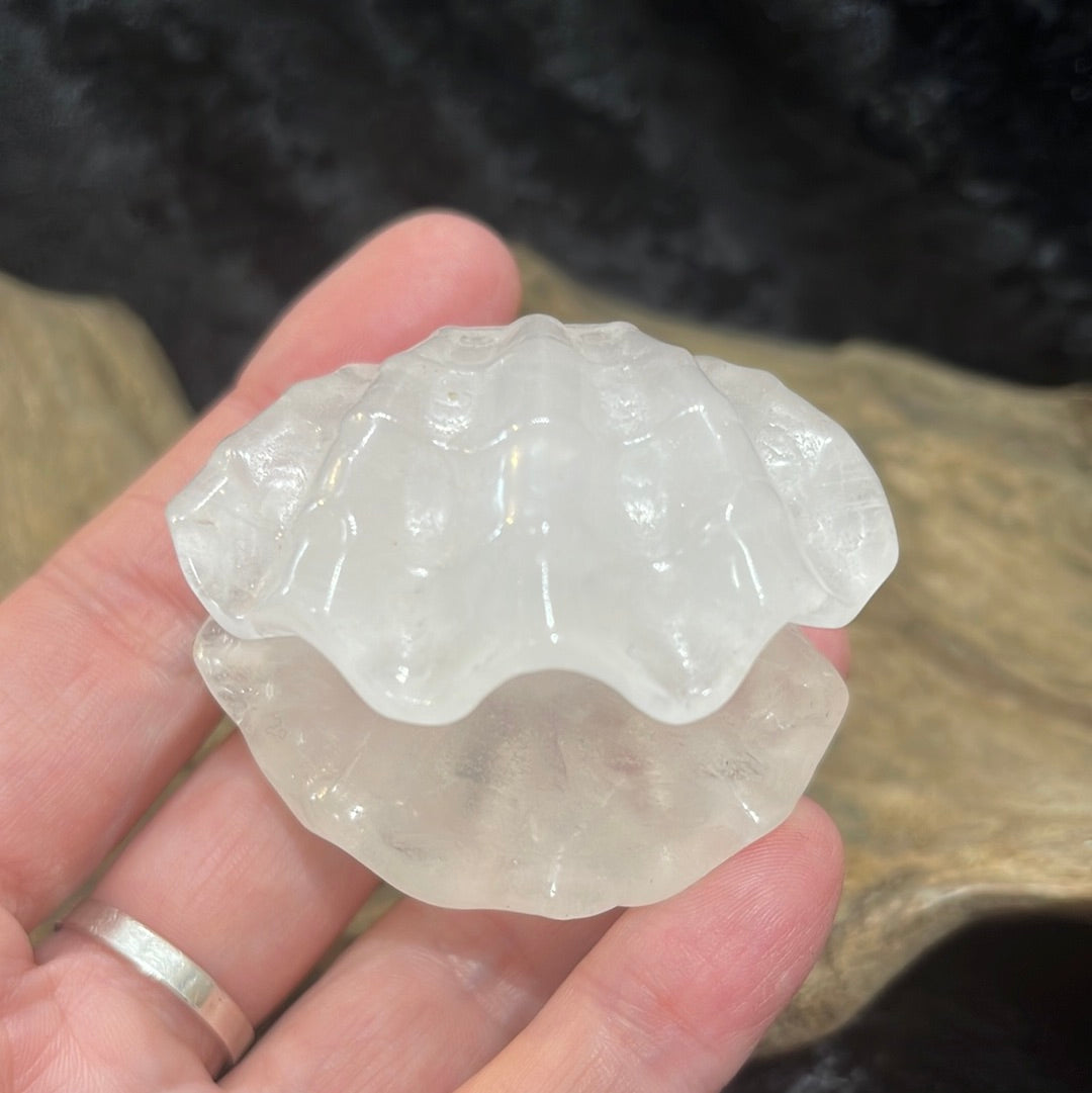 Quartz Clam