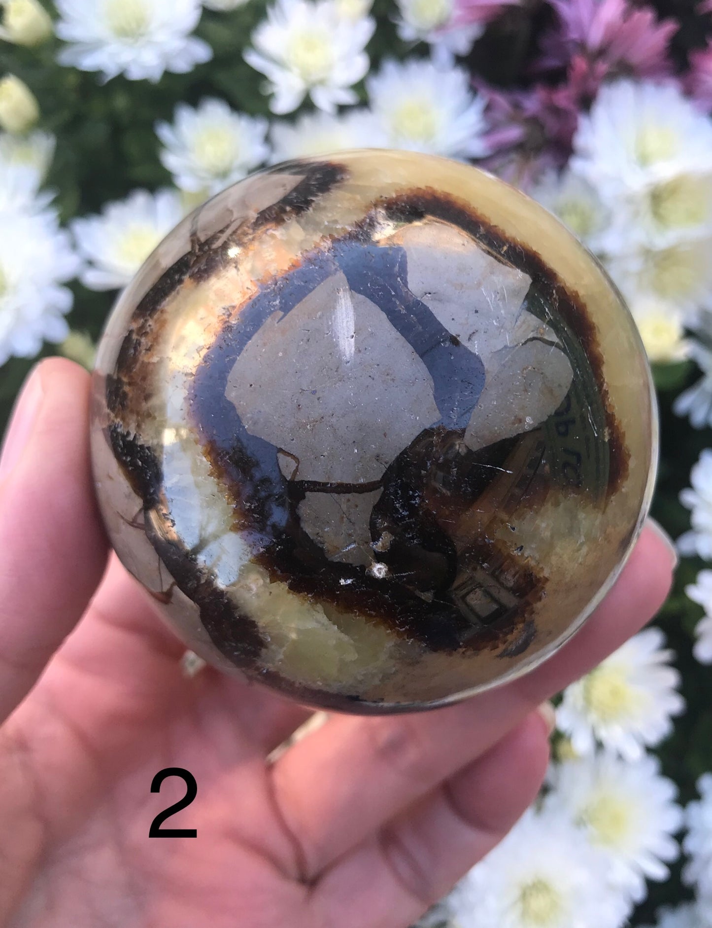 Septarian Sphere