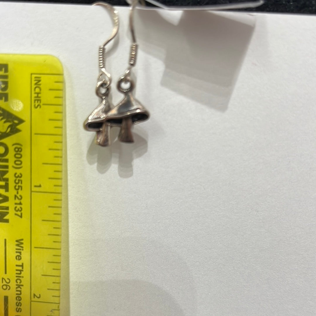 Earrings - hook ear wire