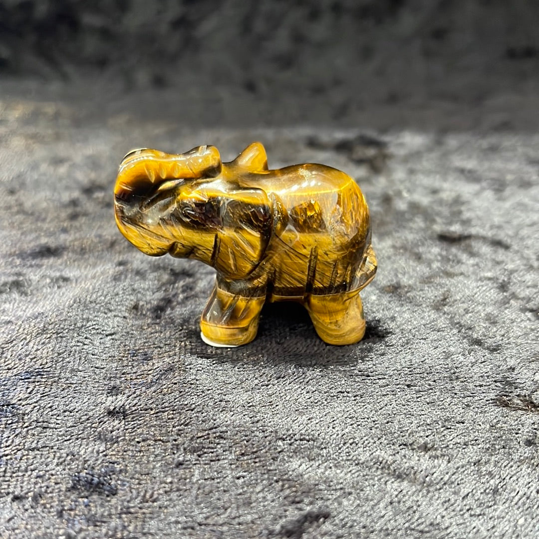 Elephants