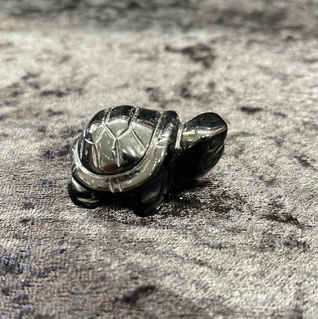 Turtles