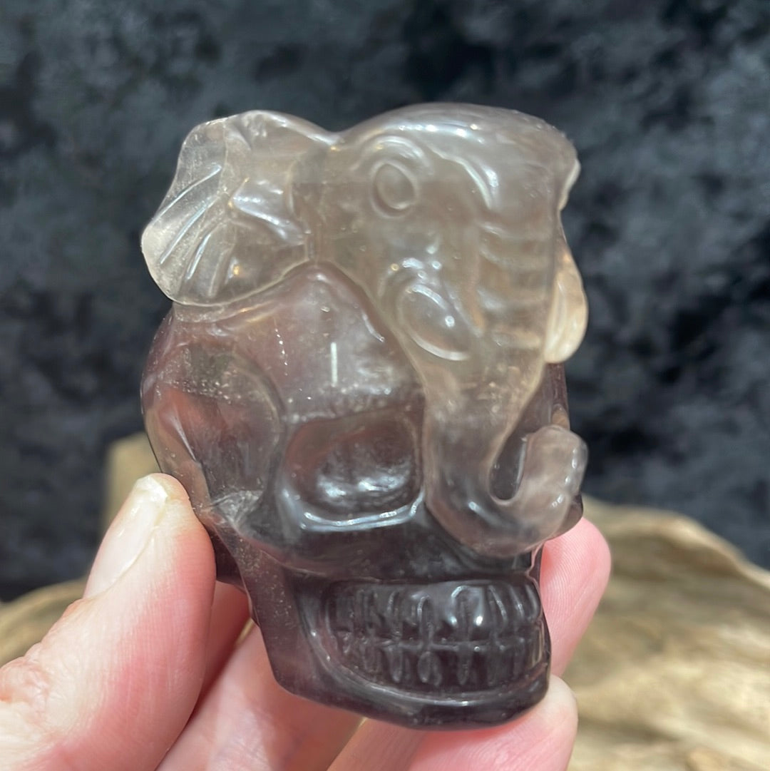 Skull with elephant
