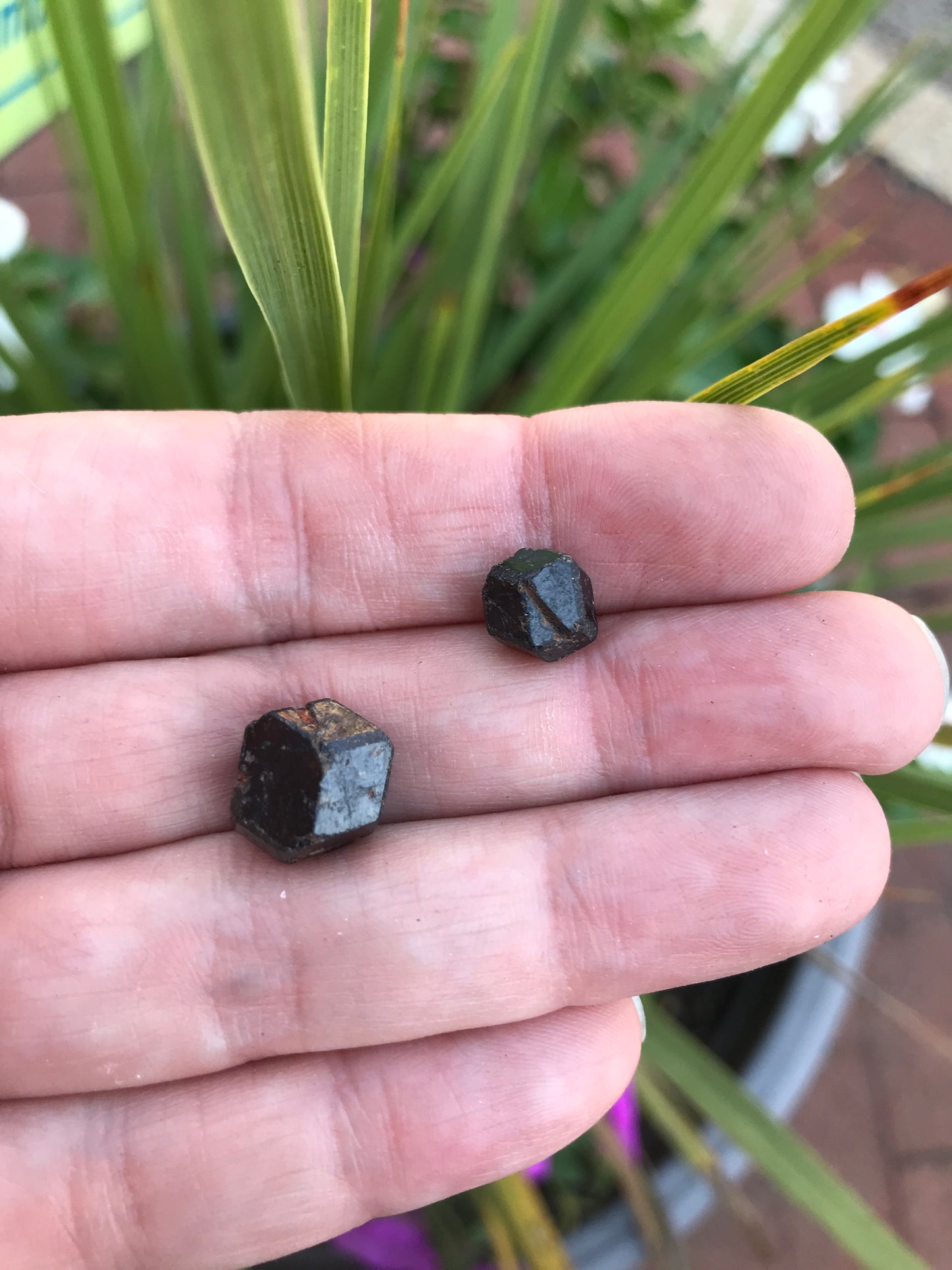 Black garnet
