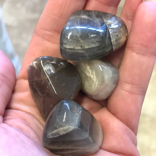Tumbled Black Moonstone