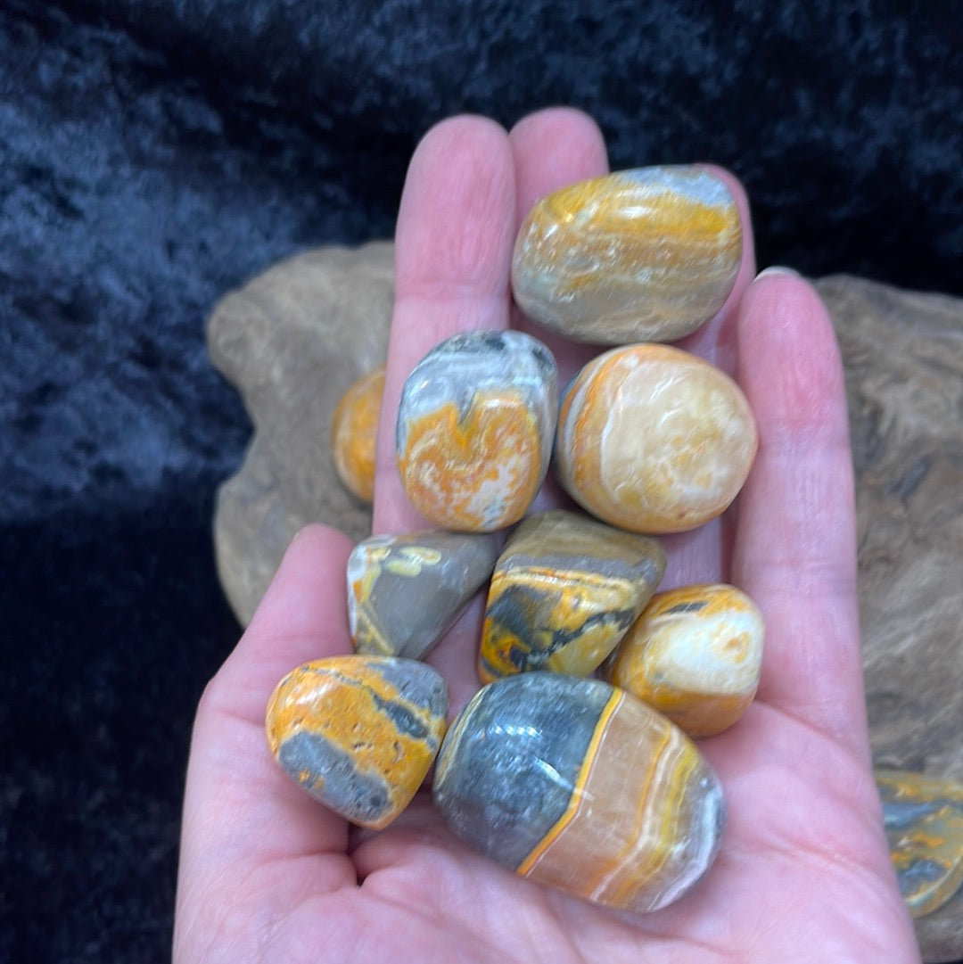 Tumbled Bumblebee Jasper
