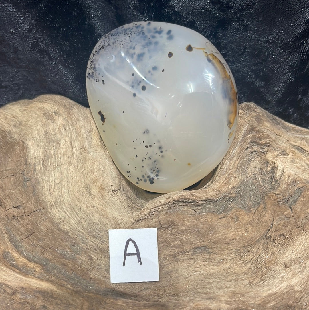 Dendritic Agate palm stone