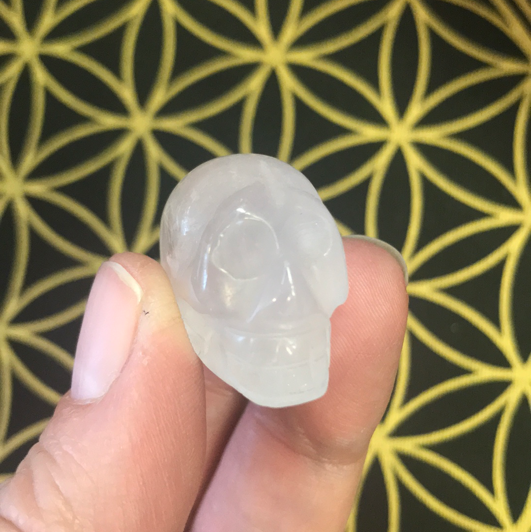 Mini skulls